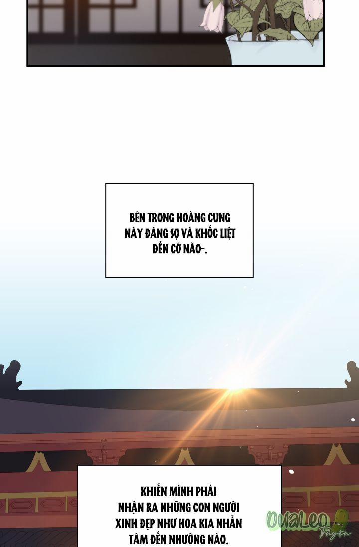 Cống Vật 8 trang 41