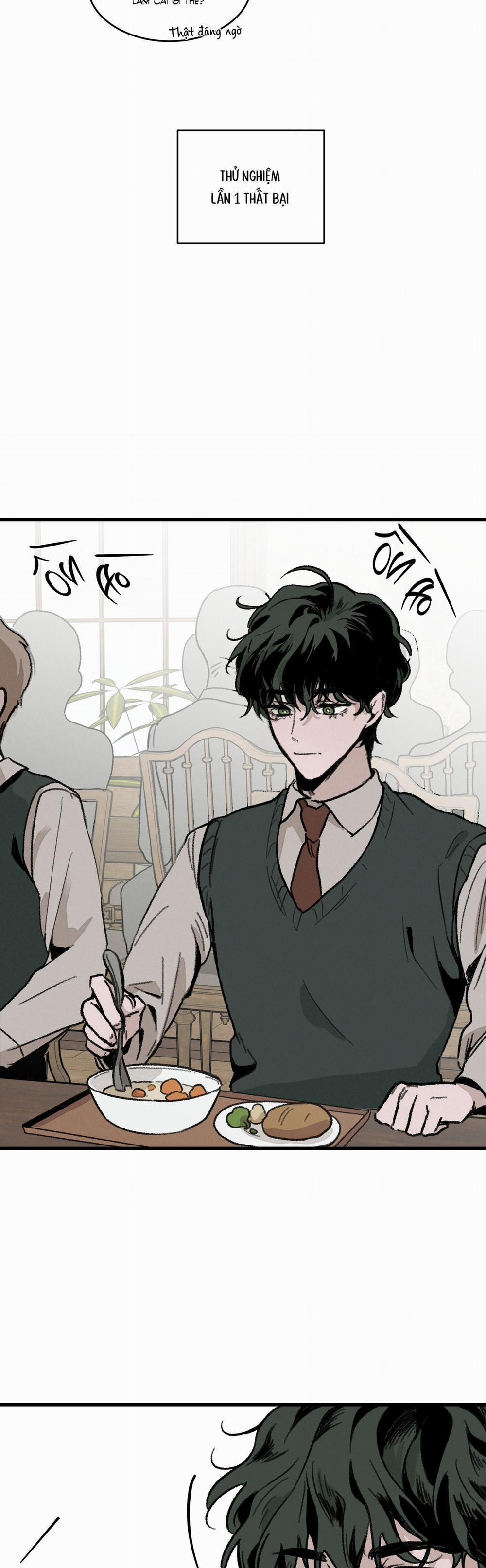 Cottage Garden 3 trang 13