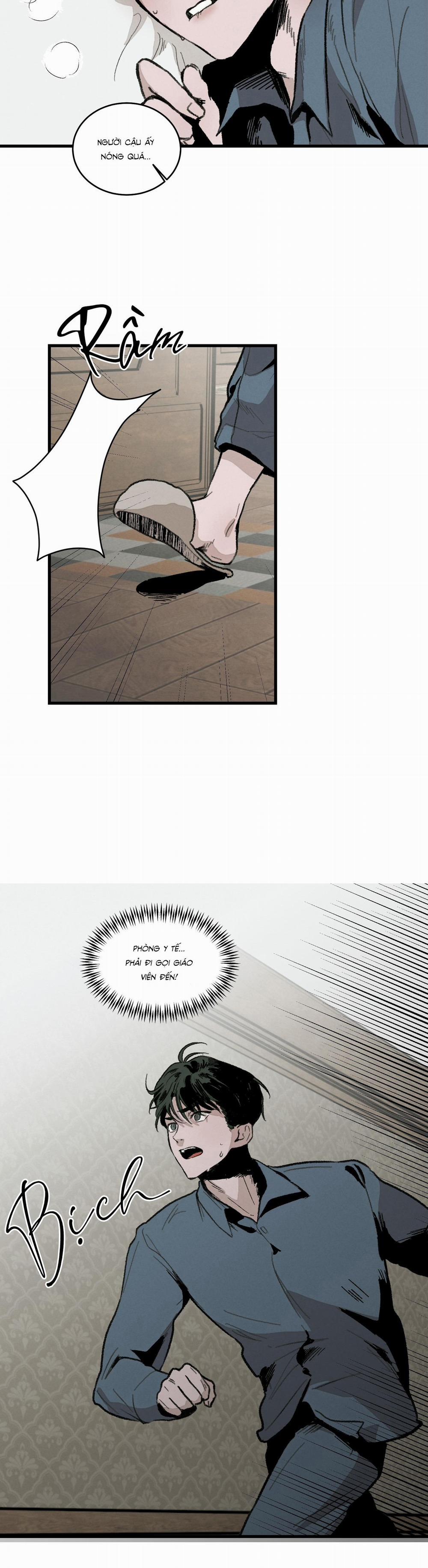 Cottage Garden 4 trang 1