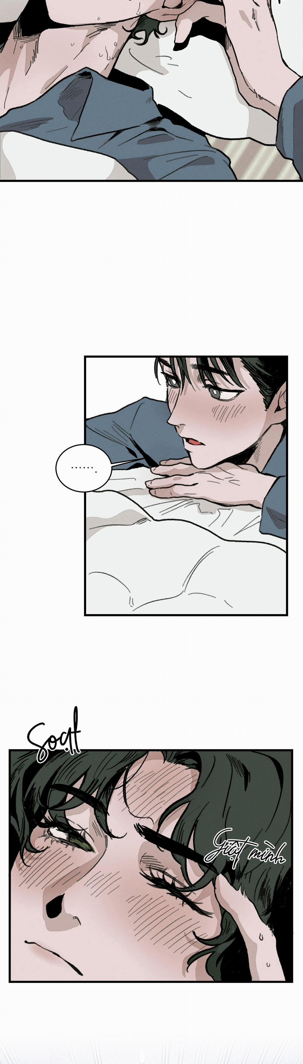 Cottage Garden 4 trang 7