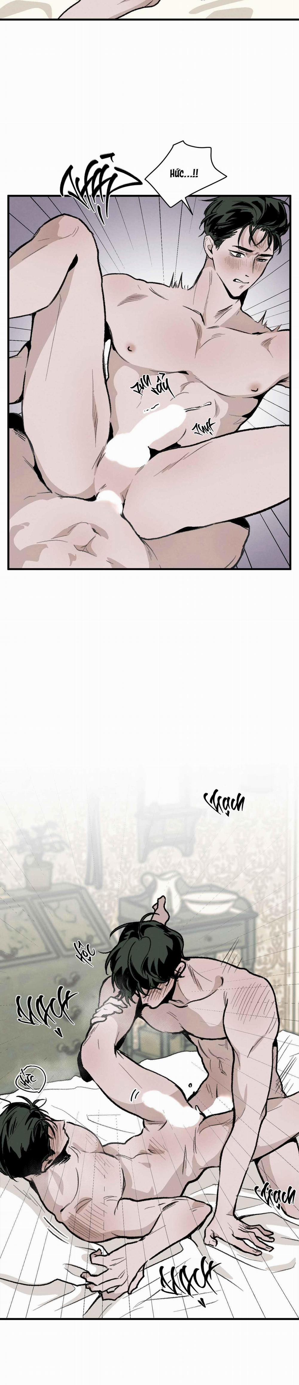 Cottage Garden 6 0 trang 25