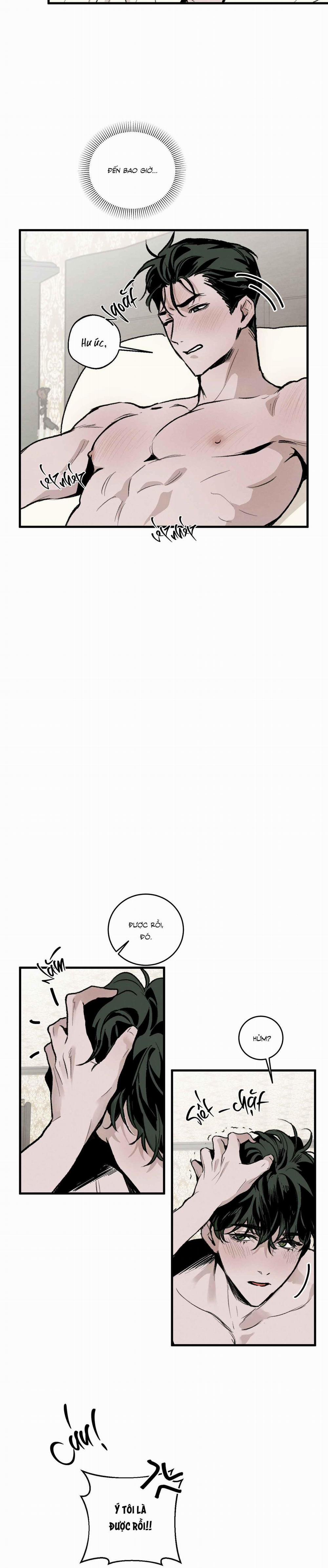 Cottage Garden 6 trang 23