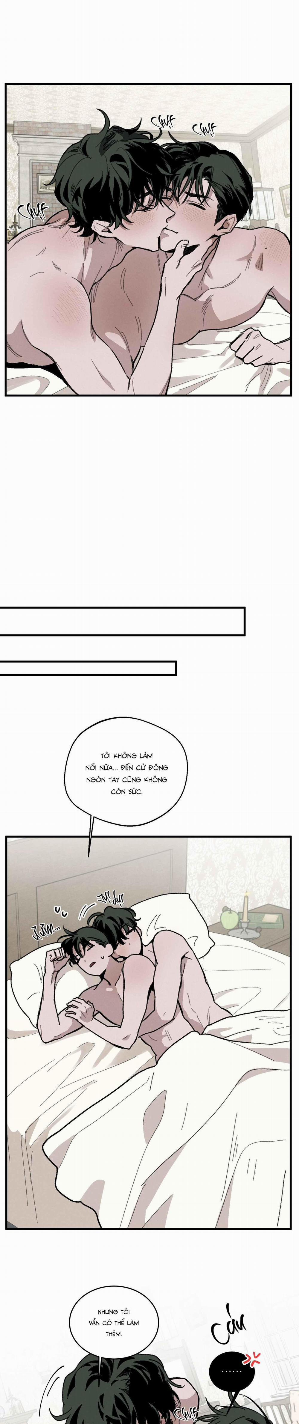 Cottage Garden 7 trang 3