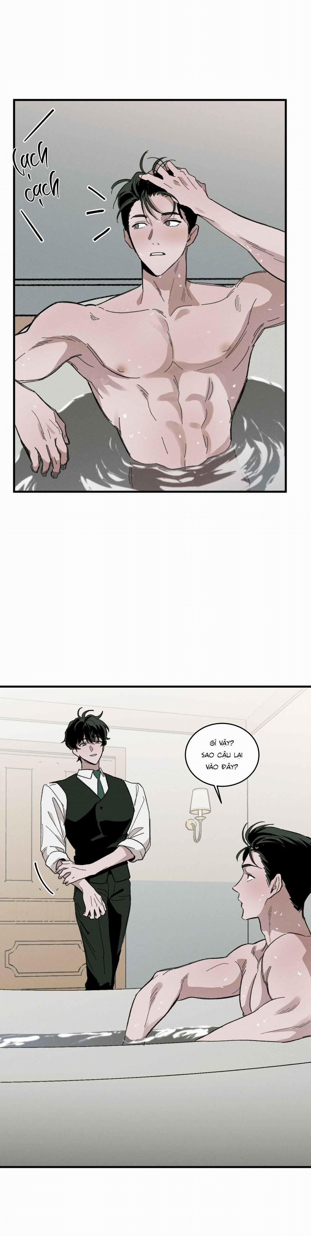 Cottage Garden 8 0 trang 15