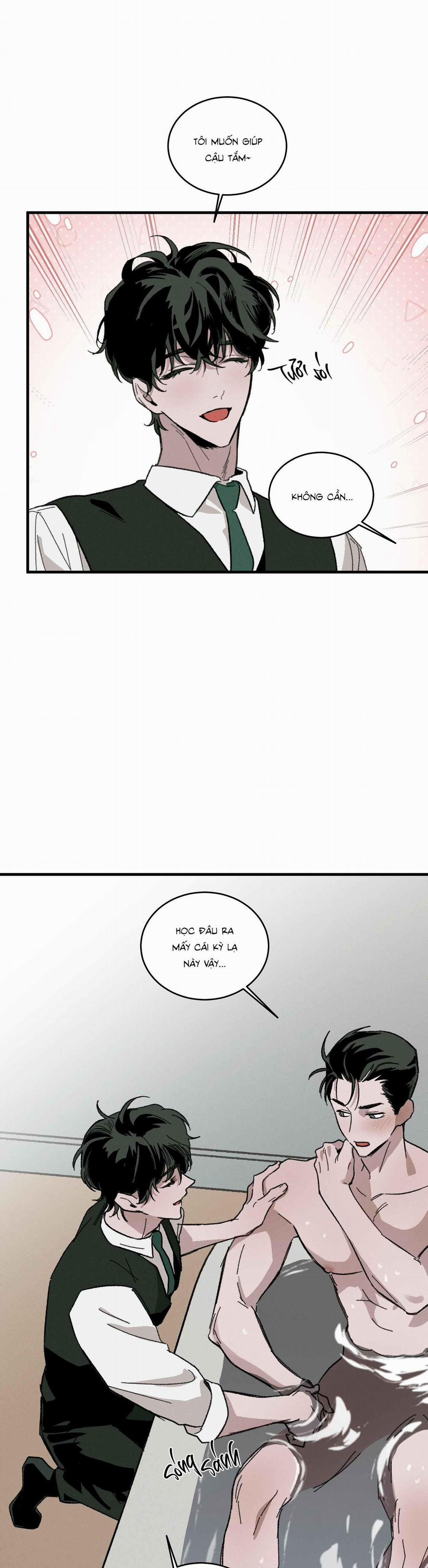 Cottage Garden 8 0 trang 16