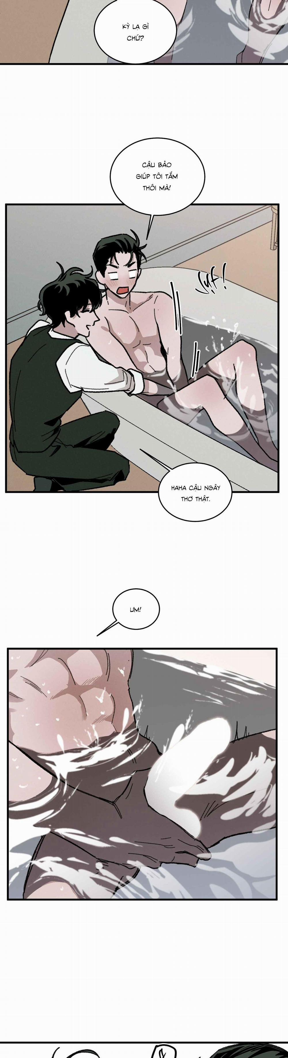 Cottage Garden 8 0 trang 17