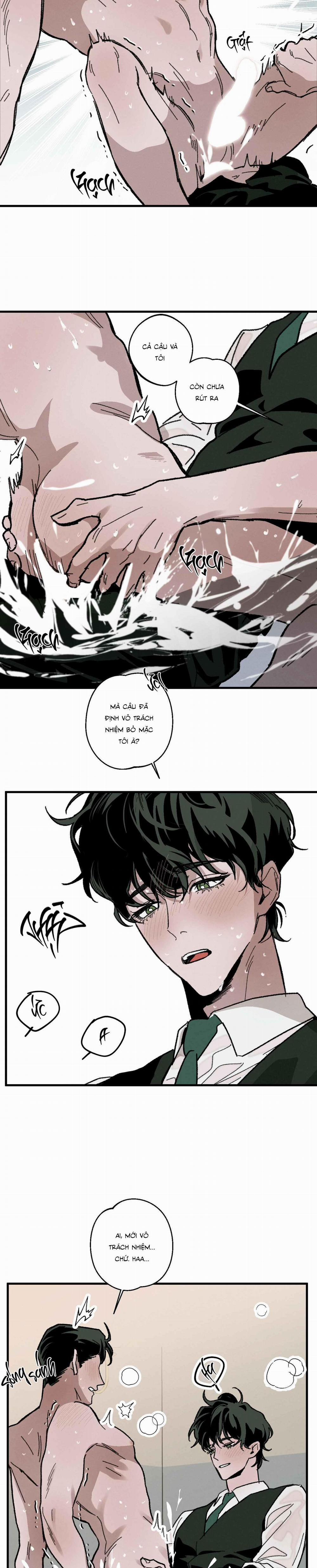 Cottage Garden 8 trang 29