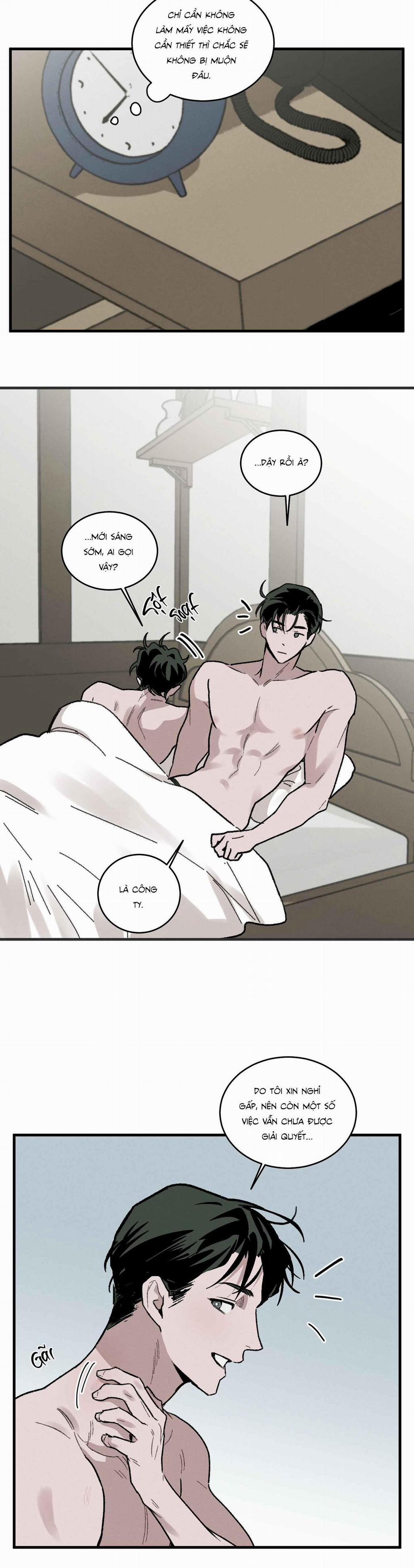 Cottage Garden 9 trang 3