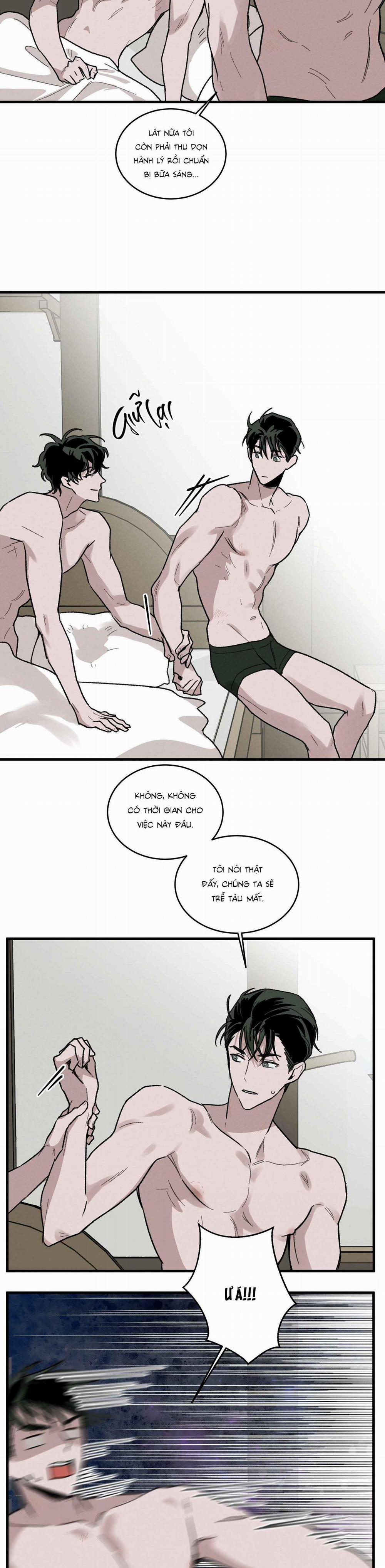 Cottage Garden 9 trang 6