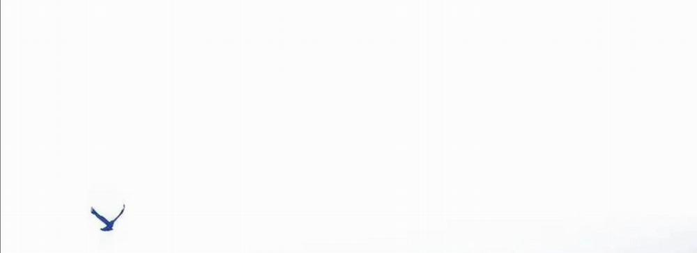 Crazy About Me 12 trang 49