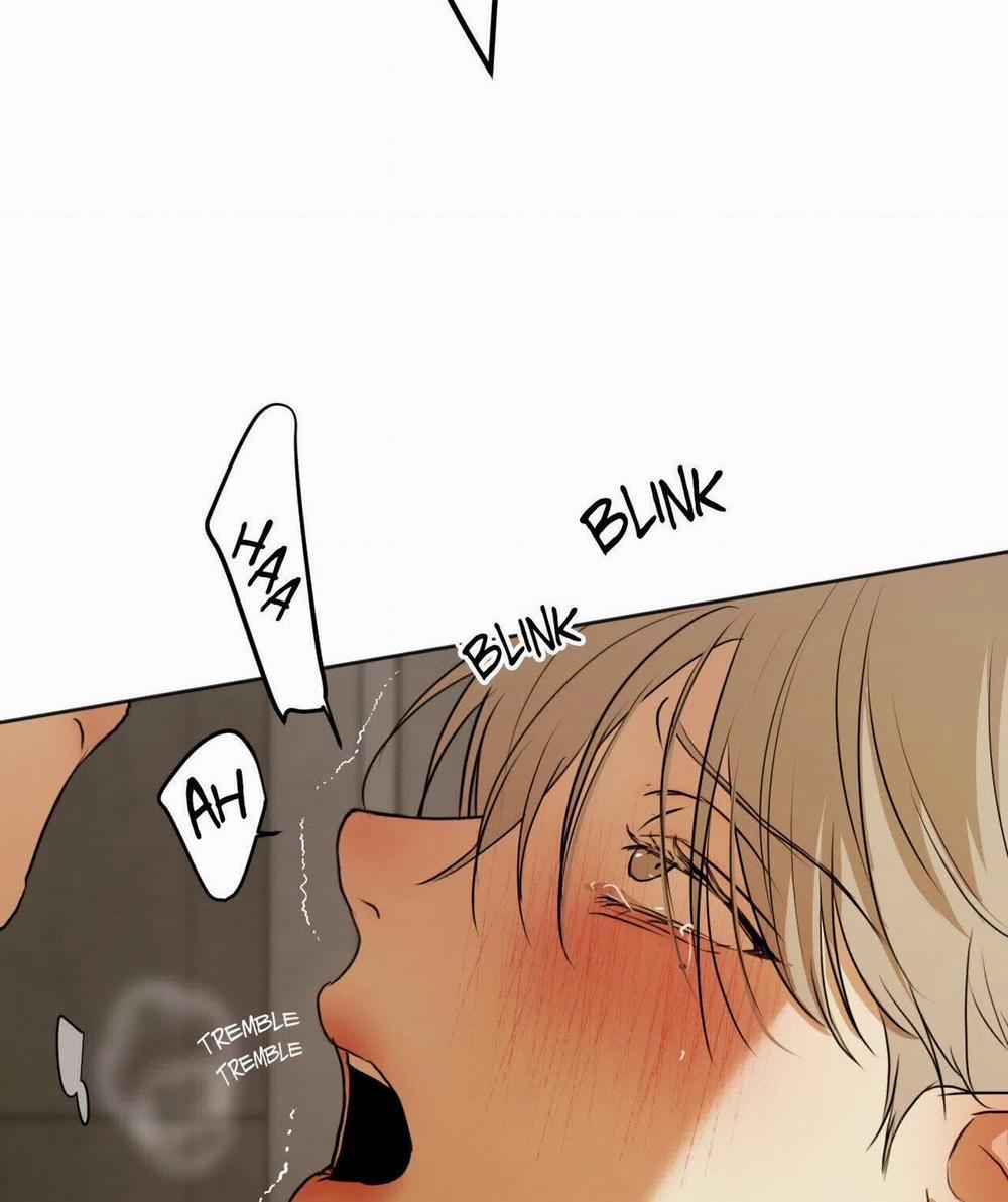 Cry Me A River 21.2 trang 14