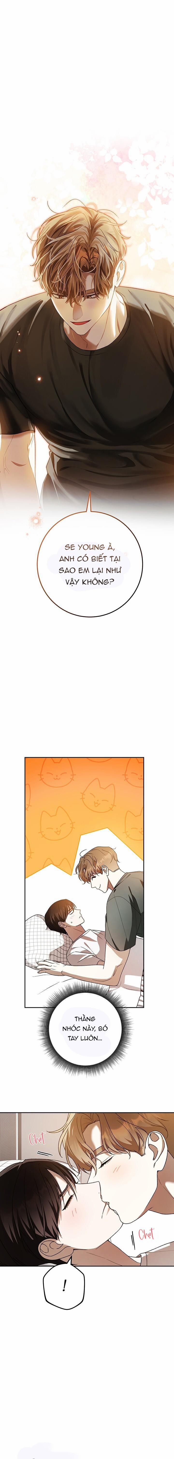 Cú Đấm Netkama 76 trang 0