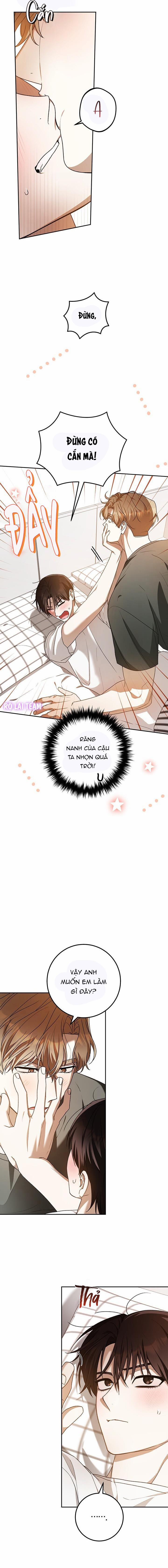 Cú Đấm Netkama 76 trang 1