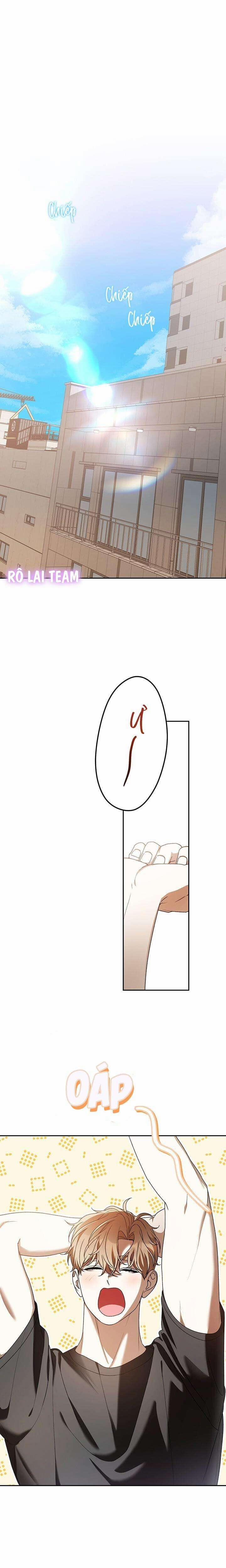 Cú Đấm Netkama 79 trang 0