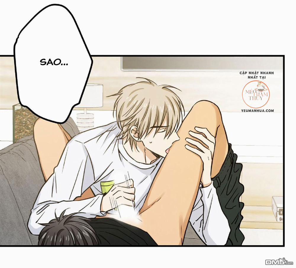 Cú Homerun Lần Thứ 7 15 trang 22