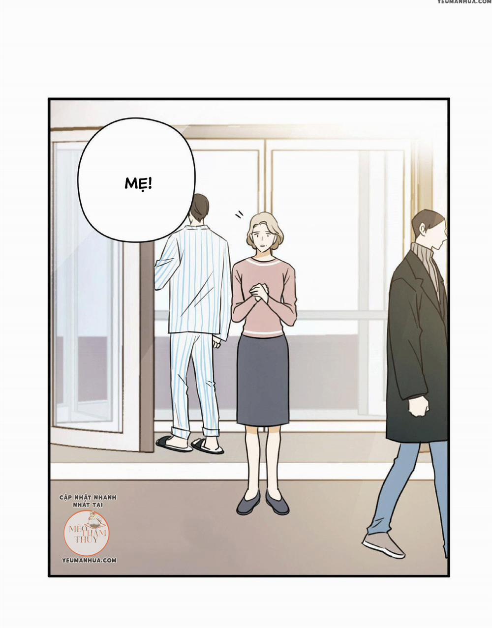 Cú Homerun Lần Thứ 7 7 trang 2