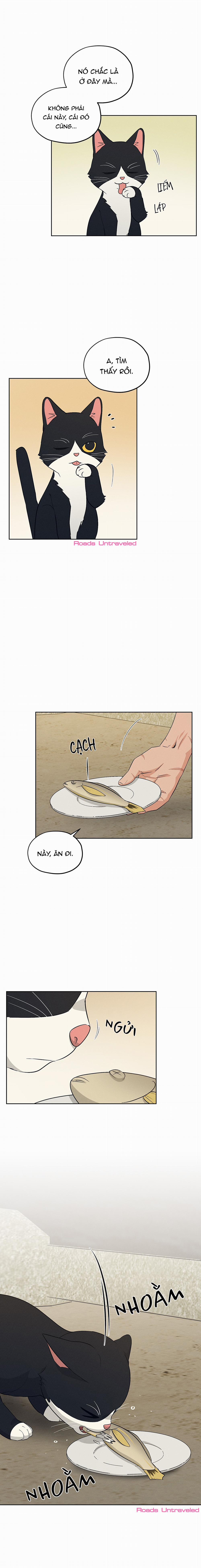 Cửa Hàng Âm Cụ Chosun 36 trang 3