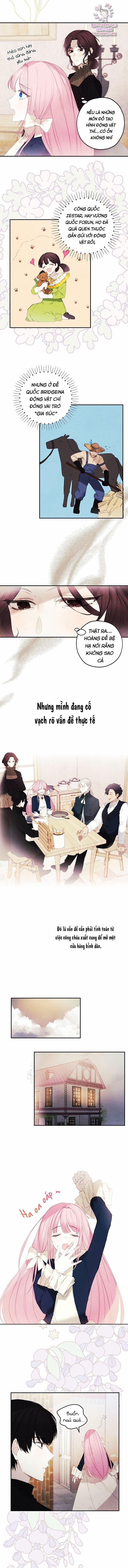 Cửa Hàng Búp Bê Của Công Chúa 5 trang 2
