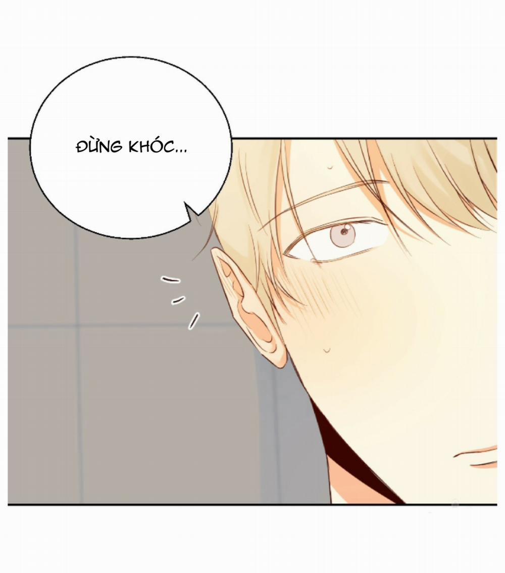 Cửa Hàng Tiện Lợi Nguy Hiểm 17 trang 12