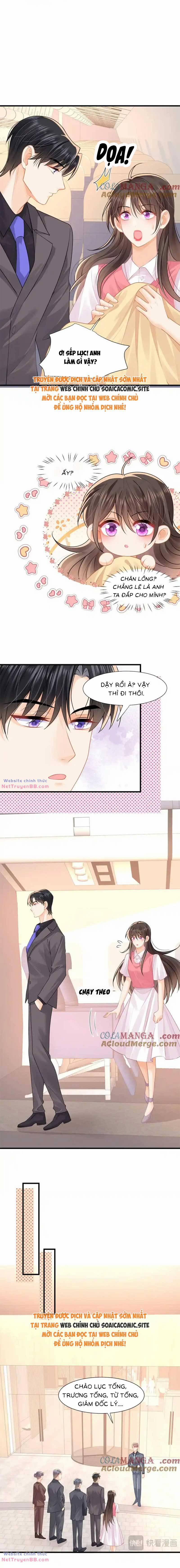 Cùng Lục Gia Yêu Đương Vụng Trộm 61 trang 4