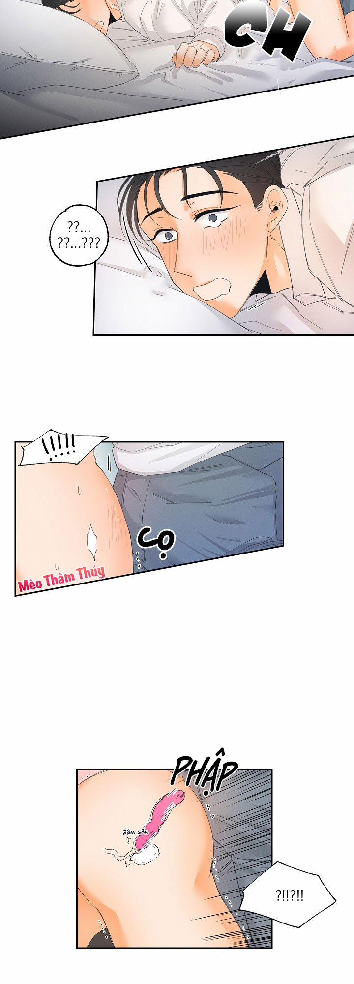 Cuộc Cải Cách Dâm Dục 3 trang 14
