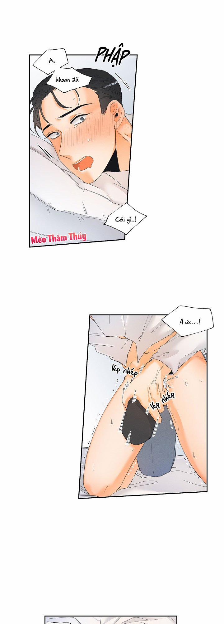 Cuộc Cải Cách Dâm Dục 3 trang 15