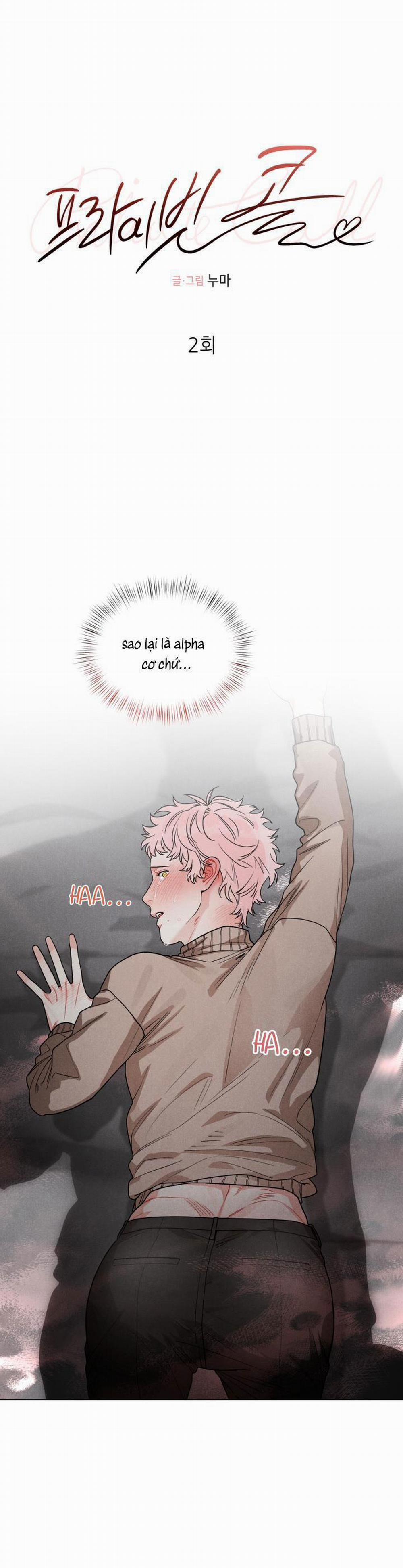 CUỘC GỌI BÍ MẬT 2 trang 0