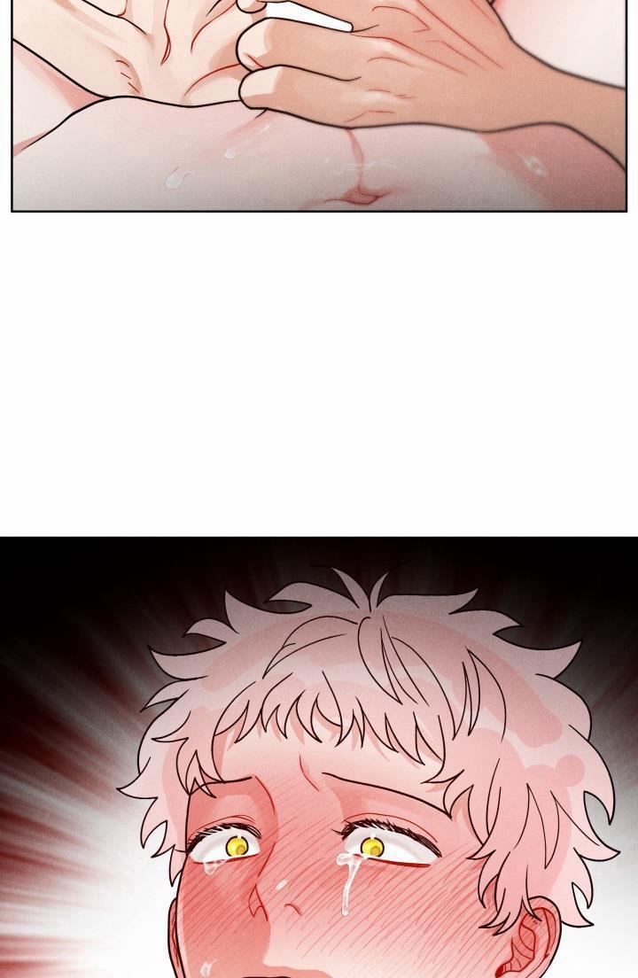 CUỘC GỌI BÍ MẬT 8 0 trang 11