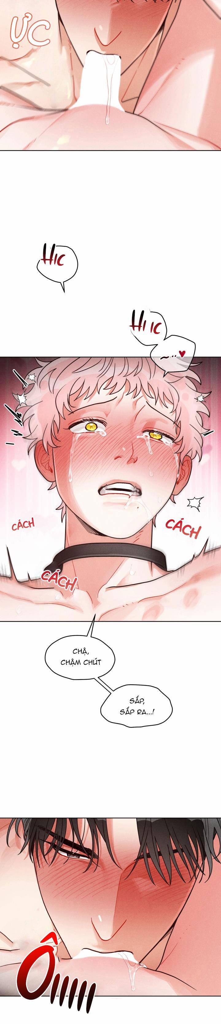 CUỘC GỌI BÍ MẬT 8 0 trang 14