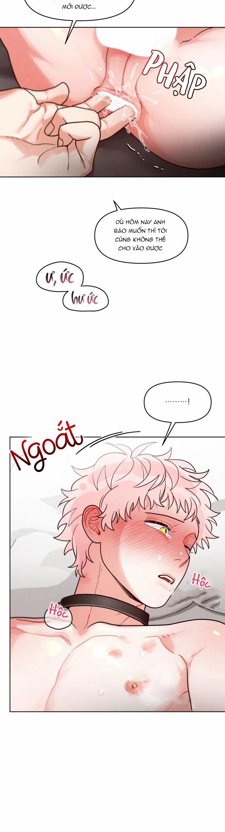 CUỘC GỌI BÍ MẬT 8 0 trang 19