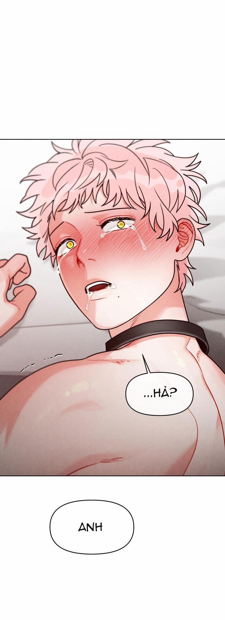 CUỘC GỌI BÍ MẬT 8 0 trang 29