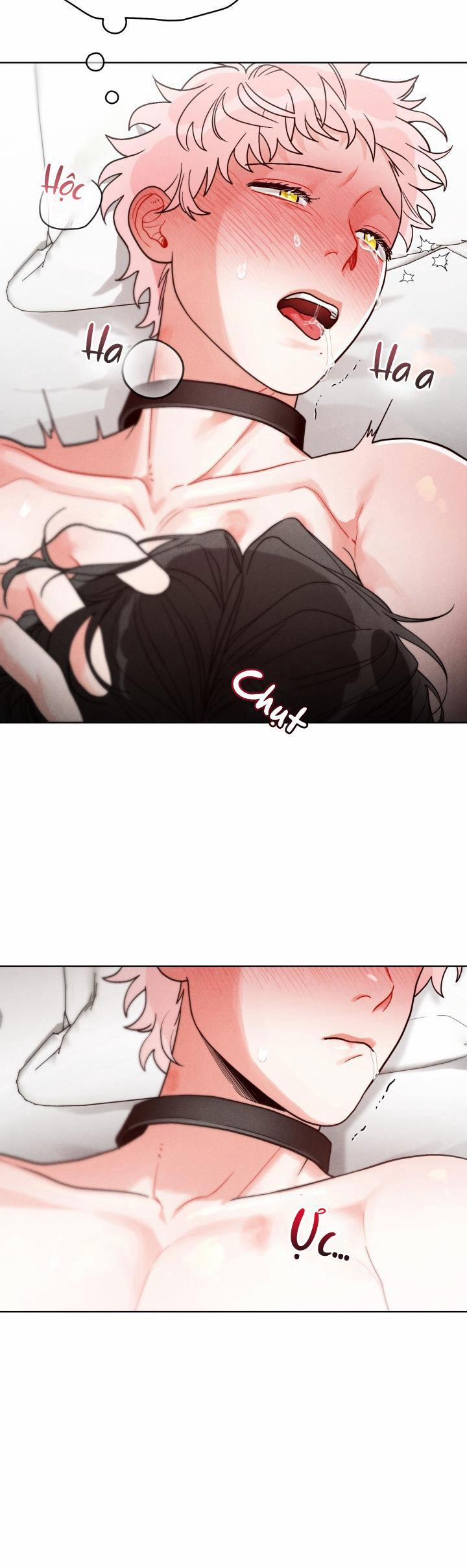 CUỘC GỌI BÍ MẬT 8 0 trang 7