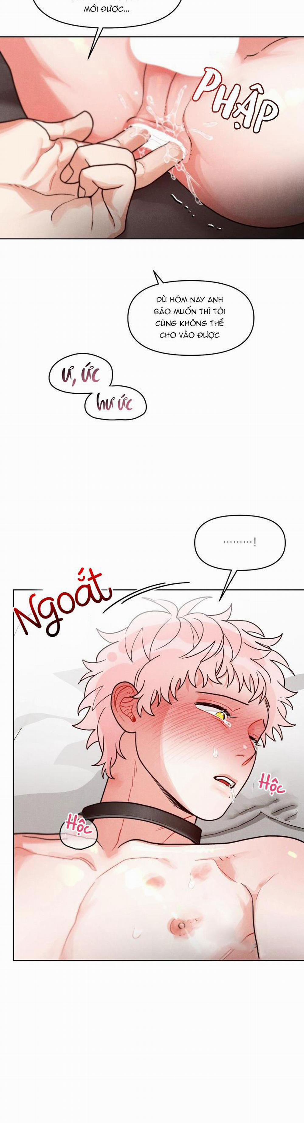 CUỘC GỌI BÍ MẬT 8 trang 19