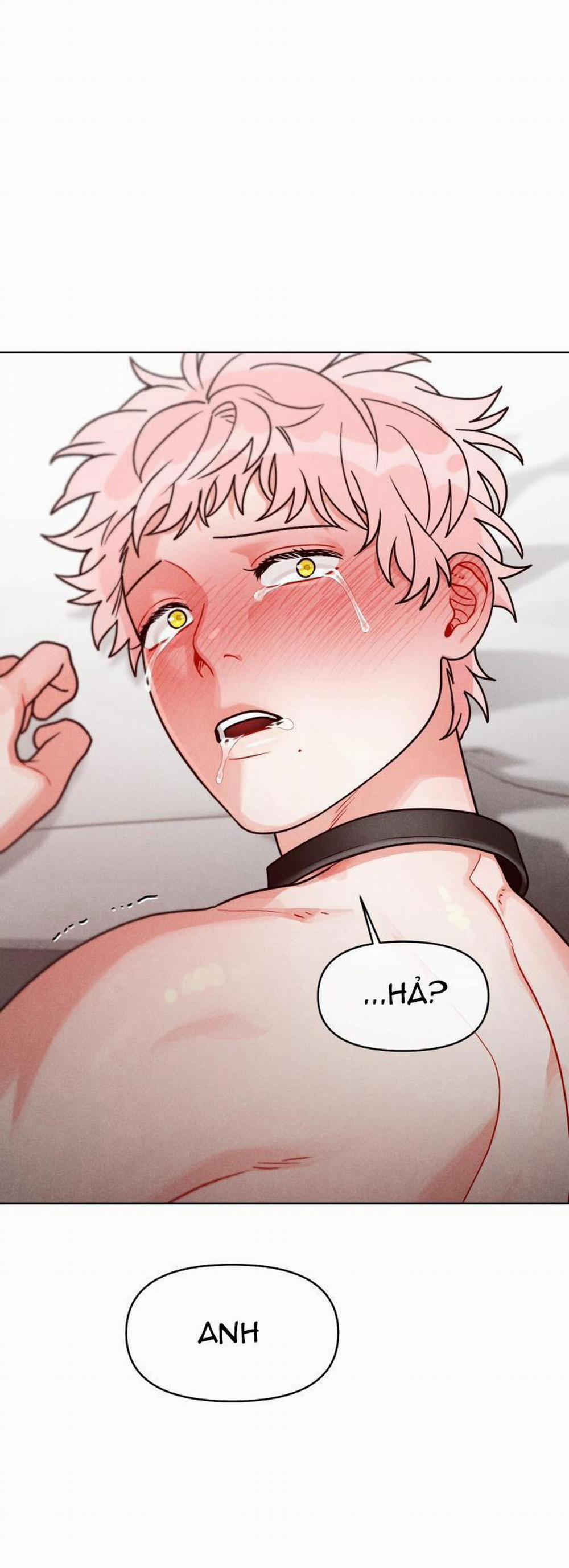 CUỘC GỌI BÍ MẬT 8 trang 29