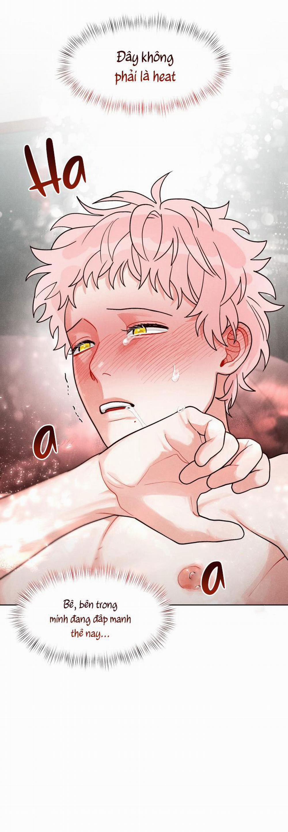 CUỘC GỌI BÍ MẬT 8 trang 8