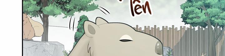 CUỘC HÔN NHÂN ĐÁNH CẮP CỦA HỒ LY 14 trang 60