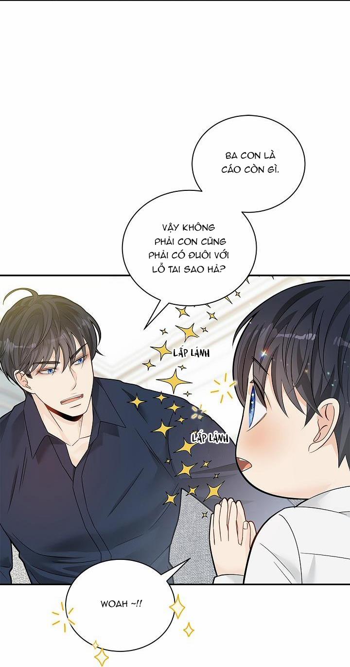 CUỘC HÔN NHÂN ĐÁNH CẮP CỦA HỒ LY 4.5 trang 15