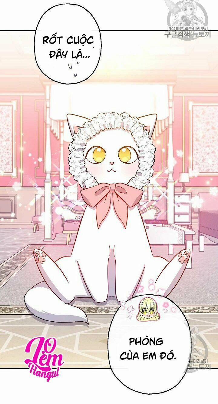 Cuộc Hôn Nhân Giả Dối 60 trang 48