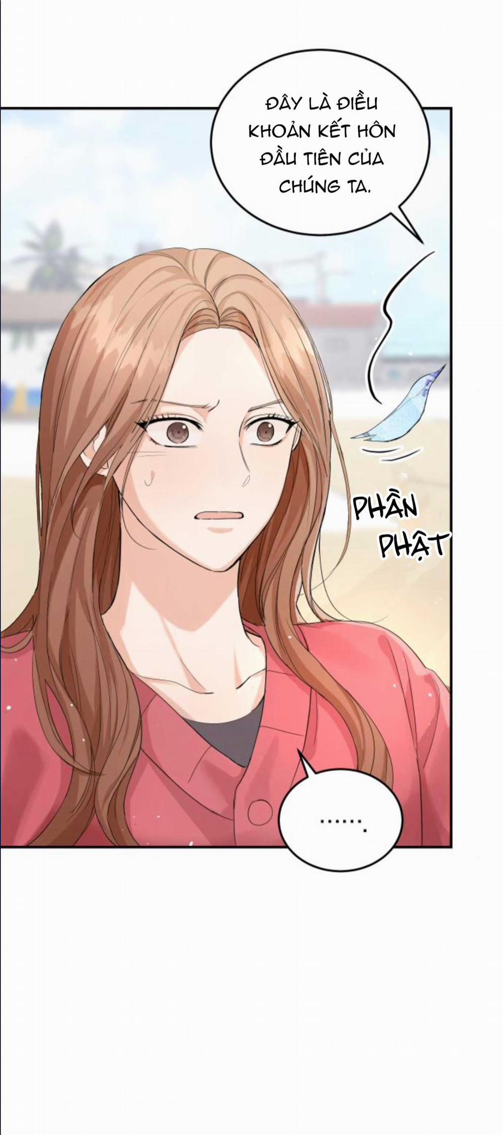 Cuộc Hôn Nhân Hoàn Hảo 7 trang 42