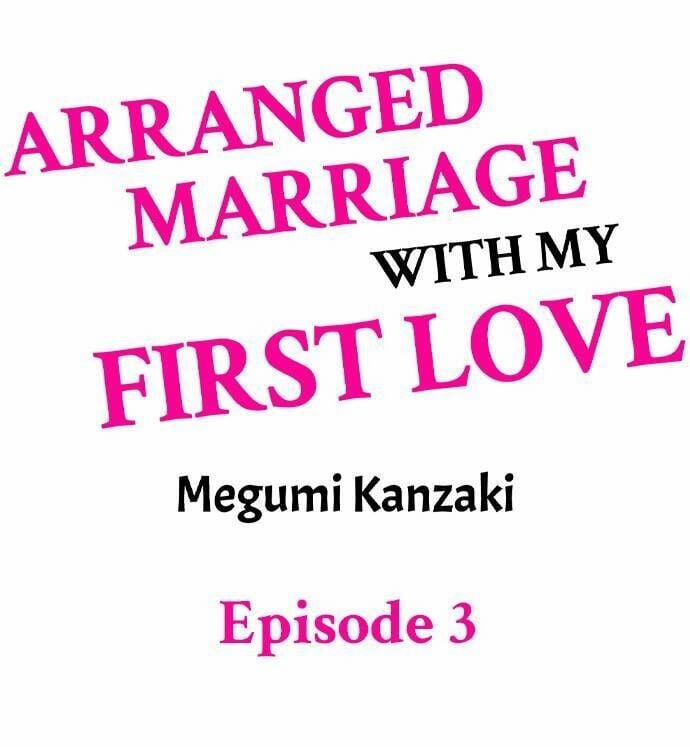 Cuộc Hôn Nhân Tình Đầu 3.1 trang 0