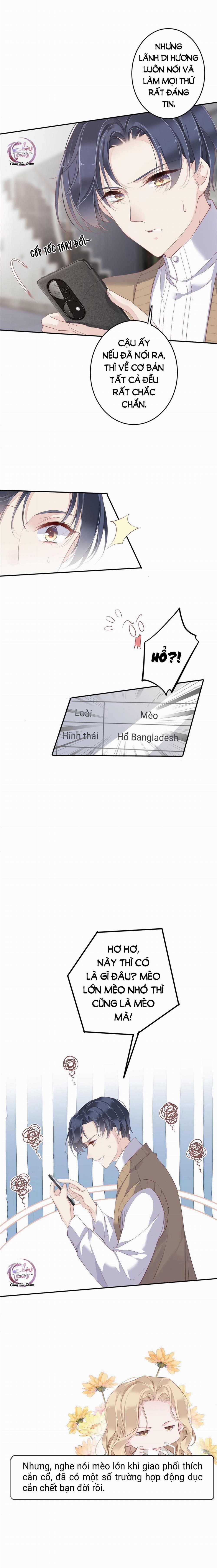 Cuộc Mai Mối Vượt Giống Loài 1 trang 7