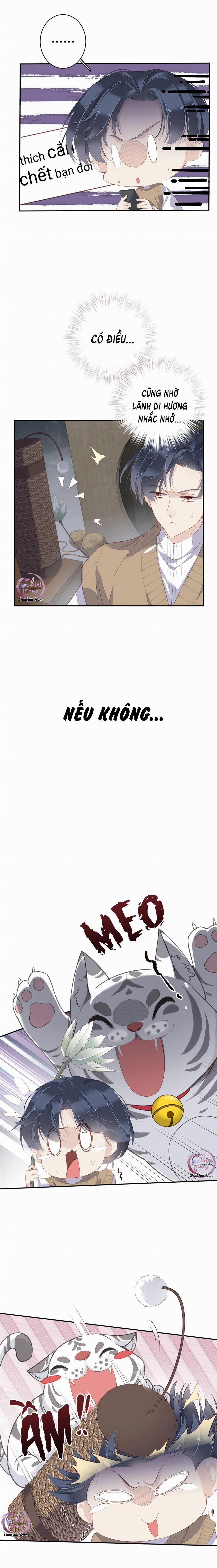 Cuộc Mai Mối Vượt Giống Loài 1 trang 8