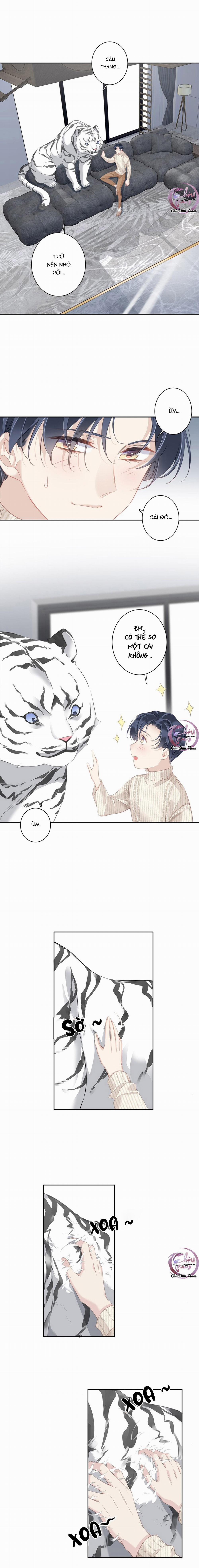 Cuộc Mai Mối Vượt Giống Loài 35 trang 3