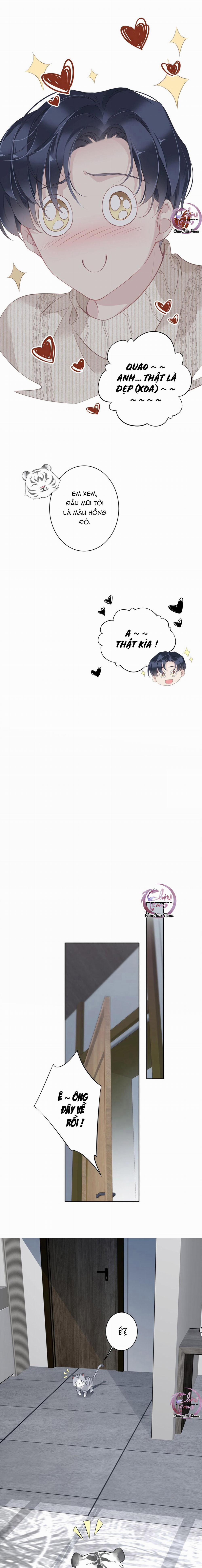 Cuộc Mai Mối Vượt Giống Loài 35 trang 4