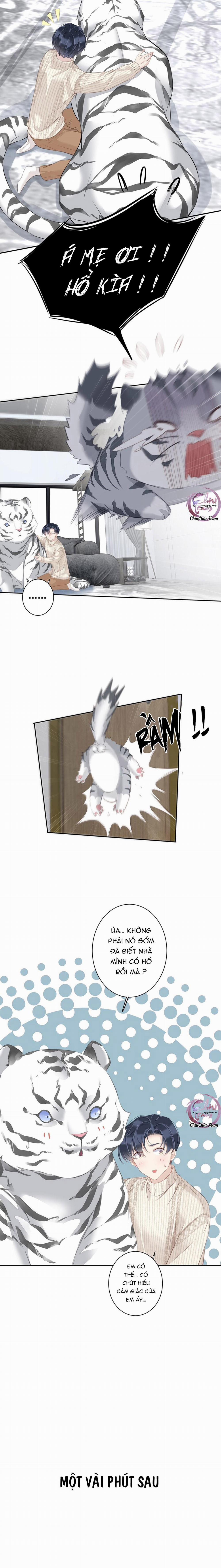Cuộc Mai Mối Vượt Giống Loài 35 trang 5