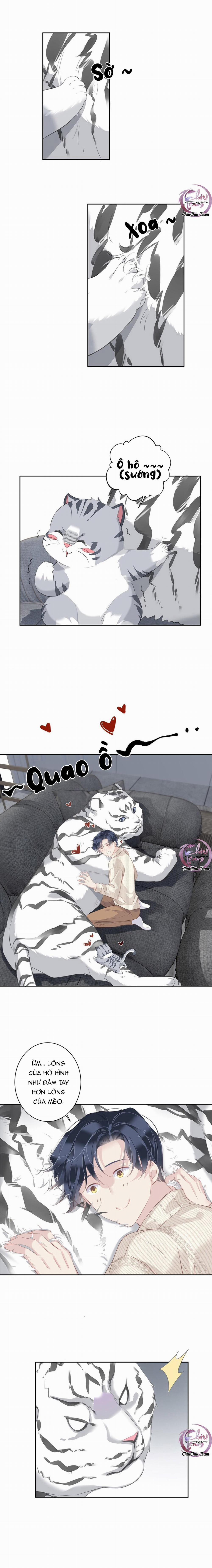 Cuộc Mai Mối Vượt Giống Loài 35 trang 6