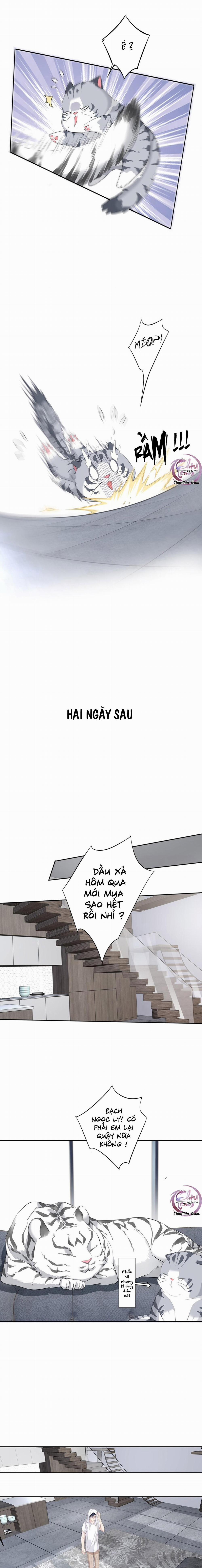 Cuộc Mai Mối Vượt Giống Loài 35 trang 7