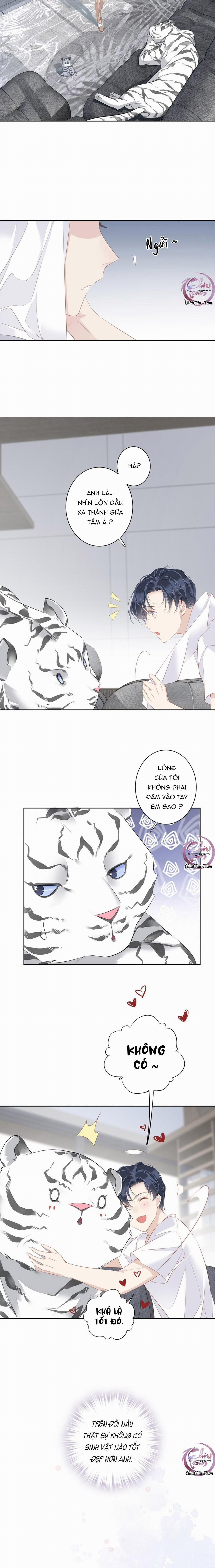 Cuộc Mai Mối Vượt Giống Loài 35 trang 8