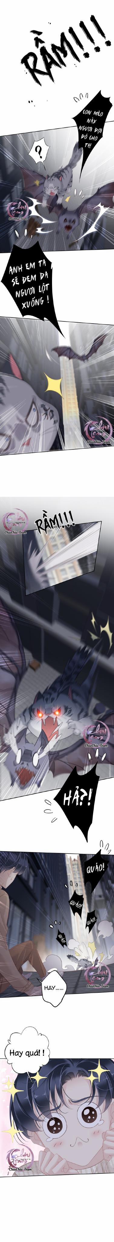 Cuộc Mai Mối Vượt Giống Loài 36 trang 9