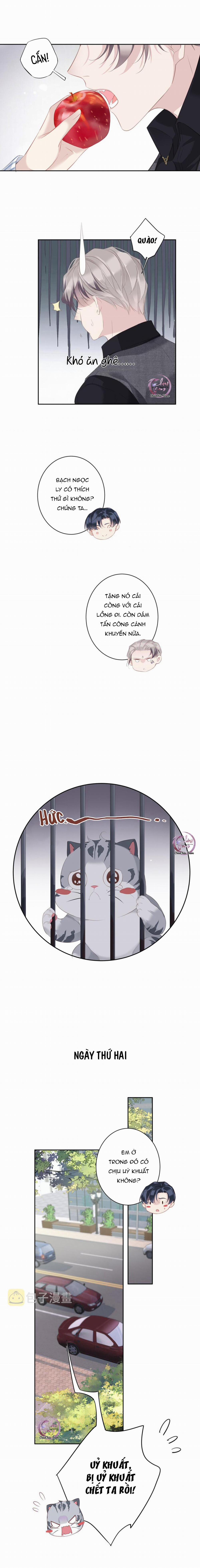 Cuộc Mai Mối Vượt Giống Loài 37 trang 2